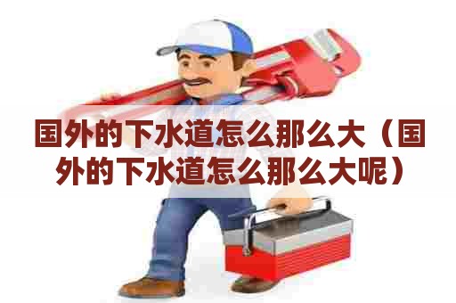 国外的下水道怎么那么大(国外的下水道怎么那么大呢) 国外的下水道怎么那么大(国外的下水道怎么那么大呢)