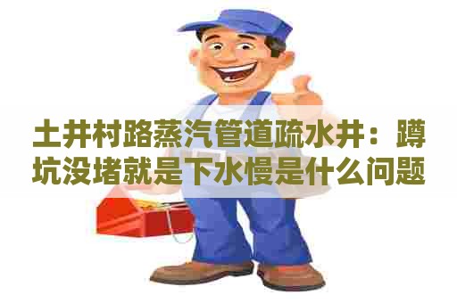 土井村路蒸汽管道疏水井:蹲坑没堵就是下水慢是什么问题 土井村路蒸汽管道疏水井:蹲坑没堵就是下水慢是什么问题