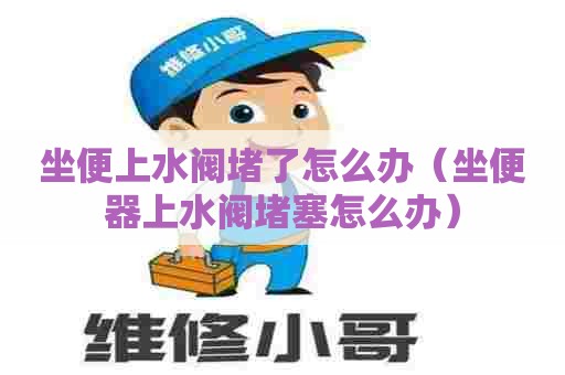 坐便上水阀堵了怎么办(坐便器上水阀堵塞怎么办) 坐便上水阀堵了怎么办(坐便器上水阀堵塞怎么办)