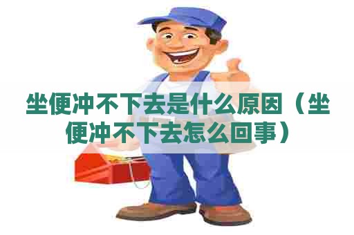 坐便冲不下去是什么原因(坐便冲不下去怎么回事) 坐便冲不下去是什么原因(坐便冲不下去怎么回事)