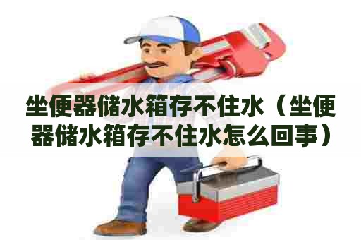 坐便器储水箱存不住水（坐便器储水箱存不住水怎么回事）