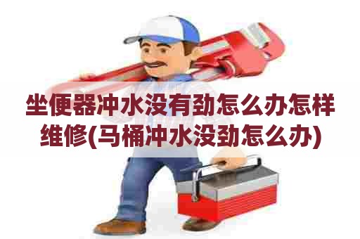 坐便器冲水没有劲怎么办怎样维修(马桶冲水没劲怎么办) 坐便器冲水没有劲怎么办怎样维修(马桶冲水没劲怎么办)