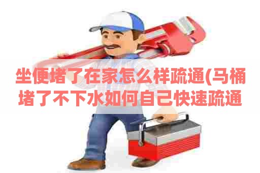 坐便堵了在家怎么样疏通(马桶堵了不下水如何自己快速疏通)