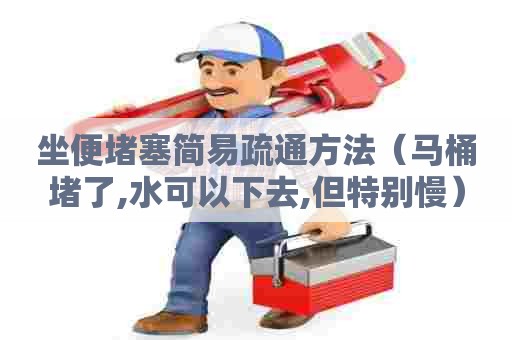 坐便堵塞简易疏通方法（马桶堵了,水可以下去,但特别慢）