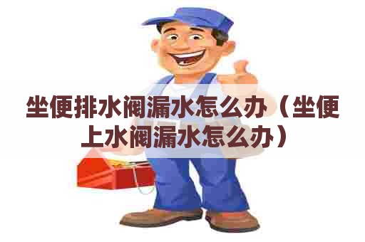 坐便排水阀漏水怎么办(坐便上水阀漏水怎么办) 坐便排水阀漏水怎么办(坐便上水阀漏水怎么办)