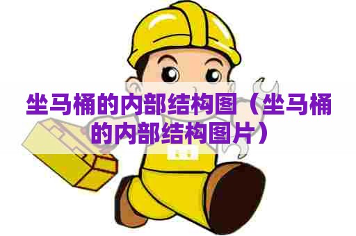 坐马桶的内部结构图（坐马桶的内部结构图片）