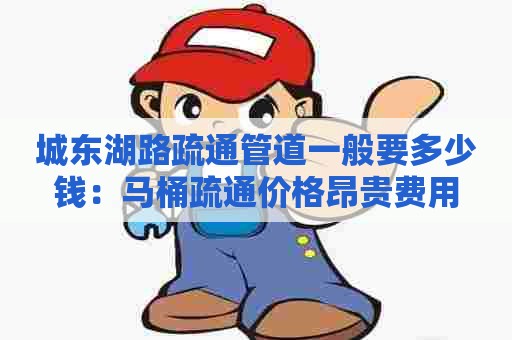 城东湖路疏通管道一般要多少钱:马桶疏通价格昂贵费用 城东湖路疏通管道一般要多少钱:马桶疏通价格昂贵费用