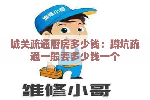 城关疏通厨房多少钱:蹲坑疏通一般要多少钱一个 城关疏通厨房多少钱:蹲坑疏通一般要多少钱一个
