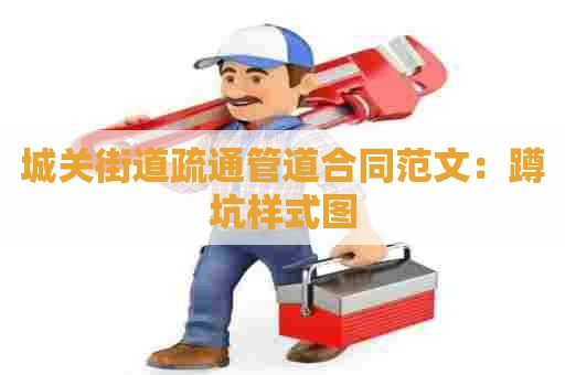 城关街道疏通管道合同范文:蹲坑样式图 城关街道疏通管道合同范文:蹲坑样式图