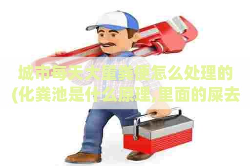 城市每天大量粪便怎么处理的(化粪池是什么原理,里面的屎去哪里了) 城市每天大量粪便怎么处理的(化粪池是什么原理,里面的屎去哪里了)