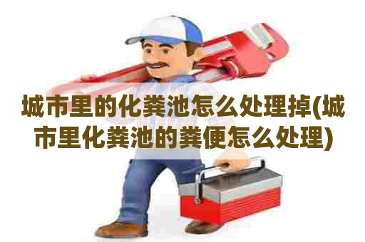 城市里的化粪池怎么处理掉(城市里化粪池的粪便怎么处理)