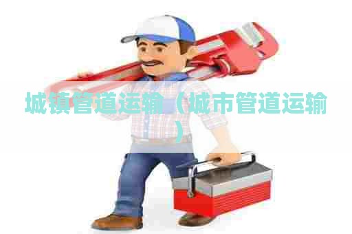 城镇管道运输(城市管道运输) 城镇管道运输(城市管道运输)