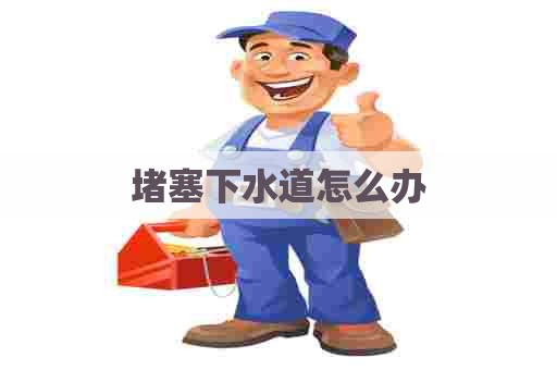 堵塞下水道怎么办