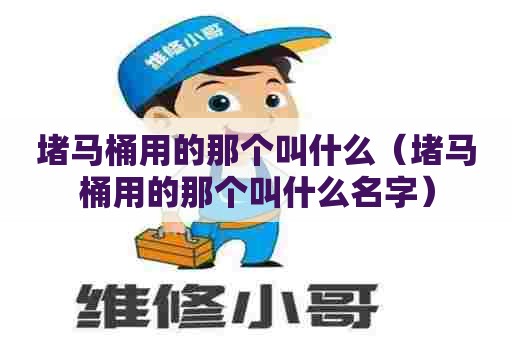 堵马桶用的那个叫什么（堵马桶用的那个叫什么名字）