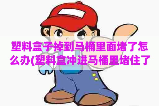 塑料盒子掉到马桶里面堵了怎么办(塑料盒冲进马桶里堵住了怎么办)