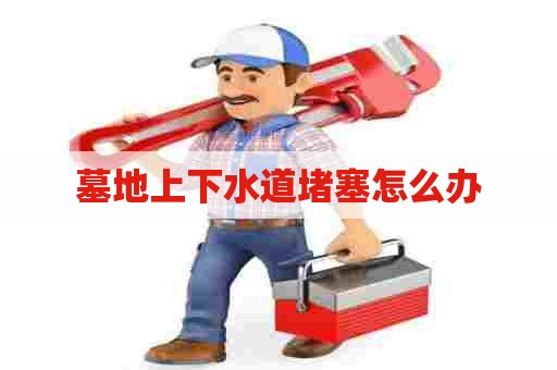 墓地上下水道堵塞怎么办