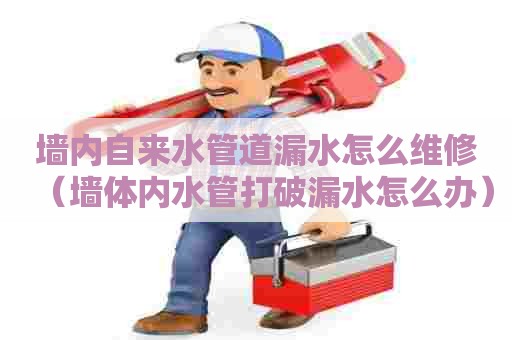 墙内自来水管道漏水怎么维修（墙体内水管打破漏水怎么办）