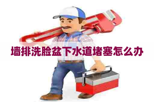 墙排洗脸盆下水道堵塞怎么办