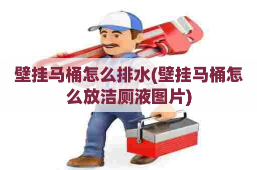 壁挂马桶怎么排水(壁挂马桶怎么放洁厕液图片) 壁挂马桶怎么排水(壁挂马桶怎么放洁厕液图片)