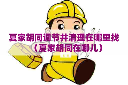 夏家胡同调节井清理在哪里找（夏家胡同在哪儿）