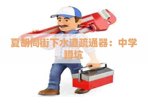 夏胡同街下水道疏通器：中学蹲坑