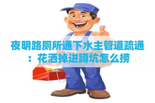 夜明路厕所通下水主管道疏通：花洒掉进蹲坑怎么捞