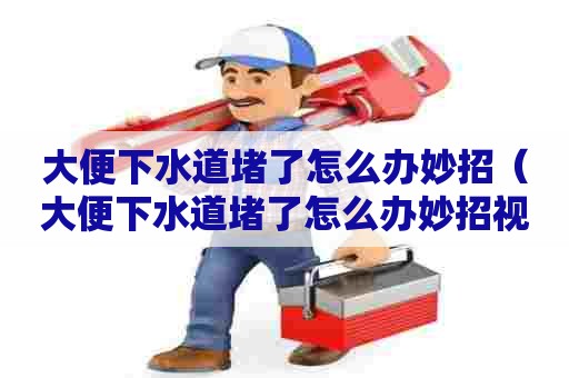 大便下水道堵了怎么办妙招（大便下水道堵了怎么办妙招视频）