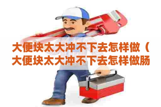 大便块太大冲不下去怎样做（大便块太大冲不下去怎样做肠镜）