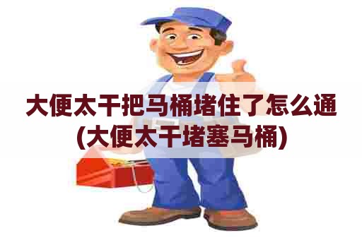 大便太干把马桶堵住了怎么通(大便太干堵塞马桶) 大便太干把马桶堵住了怎么通(大便太干堵塞马桶)