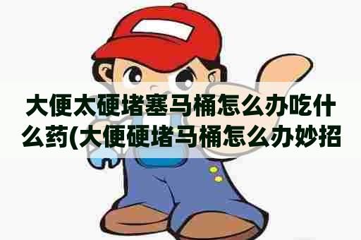 大便太硬堵塞马桶怎么办吃什么药(大便硬堵马桶怎么办妙招)