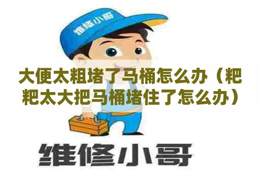 大便太粗堵了马桶怎么办（粑粑太大把马桶堵住了怎么办）