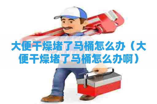 大便干燥堵了马桶怎么办(大便干燥堵了马桶怎么办啊) 大便干燥堵了马桶怎么办(大便干燥堵了马桶怎么办啊)