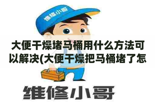 大便干燥堵马桶用什么方法可以解决(大便干燥把马桶堵了怎么通)