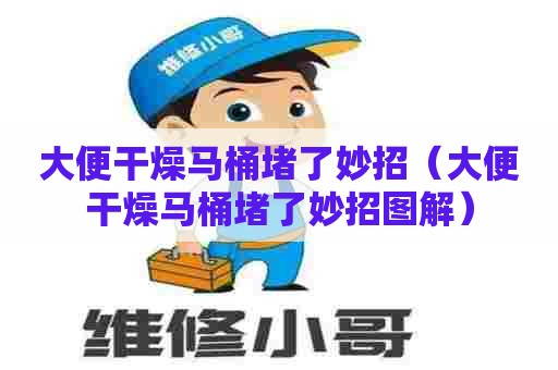 大便干燥马桶堵了妙招（大便干燥马桶堵了妙招图解）