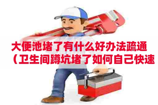 大便池堵了有什么好办法疏通(卫生间蹲坑堵了如何自己快速疏通) 大便池堵了有什么好办法疏通(卫生间蹲坑堵了如何自己快速疏通)