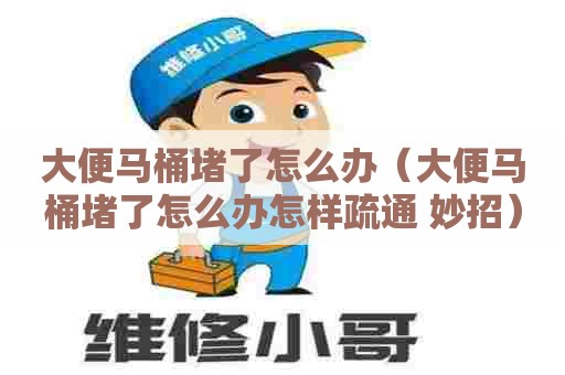 大便马桶堵了怎么办（大便马桶堵了怎么办怎样疏通 妙招）