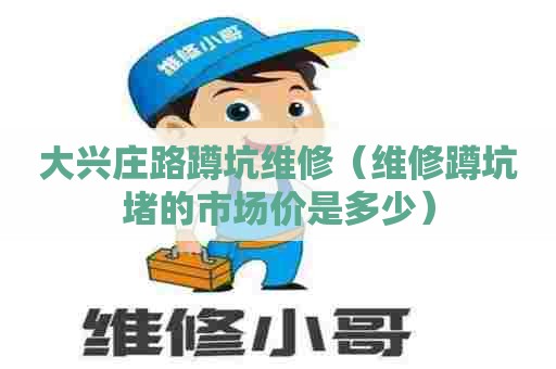大兴庄路蹲坑维修(维修蹲坑堵的市场价是多少) 大兴庄路蹲坑维修(维修蹲坑堵的市场价是多少)