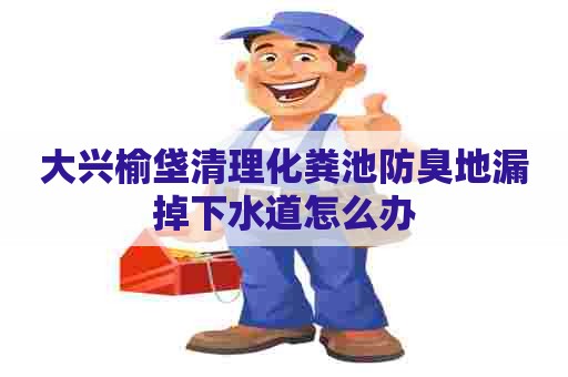 大兴榆垡清理化粪池防臭地漏掉下水道怎么办