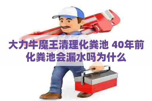 大力牛魔王清理化粪池 40年前化粪池会漏水吗为什么