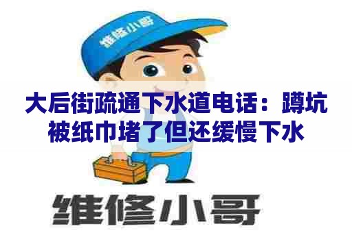 大后街疏通下水道电话：蹲坑被纸巾堵了但还缓慢下水