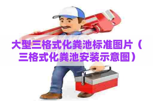 大型三格式化粪池标准图片（三格式化粪池安装示意图）