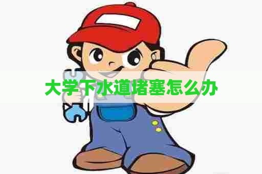 大学下水道堵塞怎么办