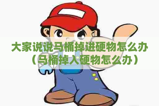 大家说说马桶掉进硬物怎么办（马桶掉入硬物怎么办）