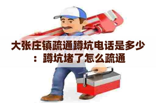 大张庄镇疏通蹲坑电话是多少：蹲坑堵了怎么疏通