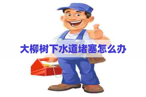 大柳树下水道堵塞怎么办