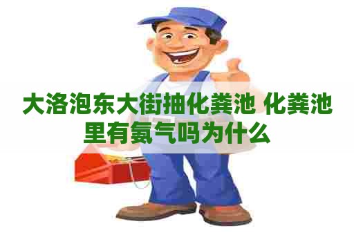 大洛泡东大街抽化粪池 化粪池里有氨气吗为什么 大洛泡东大街抽化粪池 化粪池里有氨气吗为什么