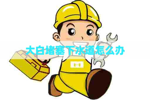 大白堵塞下水道怎么办 大白堵塞下水道怎么办