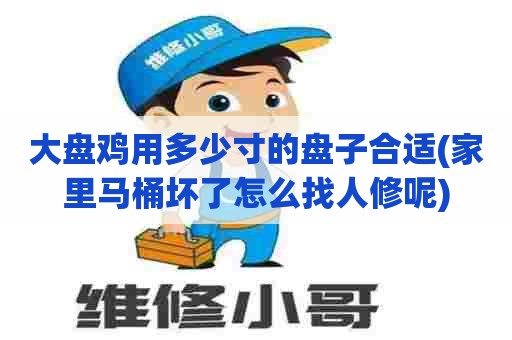 大盘鸡用多少寸的盘子合适(家里马桶坏了怎么找人修呢)