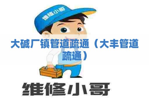 大碱厂镇管道疏通（大丰管道疏通）