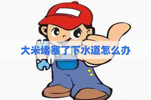 大米堵塞了下水道怎么办